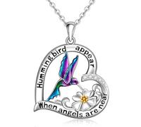 Iringnier Collana da donna a forma di colibrì, in argento Sterling S925, con ciondolo a forma di colibrì, regalo commemorativo per festa della mamma, Natale, compleanno, 0.90 inch x 0.94 inch, Argento