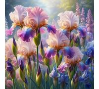 Iris a radice nuda/resistente al freddo/bello/colorato/decorazione da giardino/[KVHSVB]-4 Rizoma-G