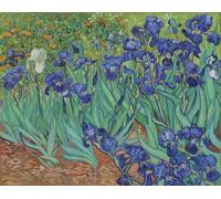 Iris di Vincent van Gogh. Vincent van Gogh 1853 - 1890 artista post-impressionista olandese. Irises è stato dipinto nel 1889 mentre van Gogh era nel manicomio a Saint-R my-de-Provence. L'opera è nella
