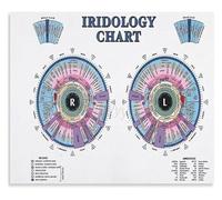 Iris Diagnosis Map Poster Educational Iridology Chart For Wellness Center Home Library Herbalist Consult Room Decor(Unframed,08x12inch(20x30cm))