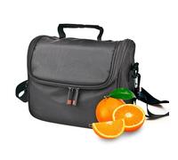 Iris - Lunch Box Cool Bag Grey 5.5L -