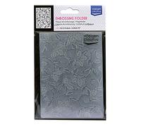 Iris Ohyama Vaessen Creative Cartella per Embossing, Vite di Agrifoglio, 6 x 10,8 x 0,5 cm, 1 Pezzo, Compleanno, Nascita, Biglietti di Natale e Artigianato di Carta, 14,6x10,8x0,5