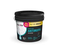 IRISCOLOR Pittura Antimuffa per Interni 4+2 LT Ideale Per Ambienti Umidi Vernice Bianca Muro Interno ad Alta Resa Pittura bianca Per Interni Acrilica Igienizzante Effetto Opaco