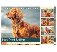 Irish Red Setter. Wo noble Eleganz auf Tatendrang trifft (Tischkalender 2026 DIN A5 quer), CALVENDO Monatskalender: Ein Charakterhund mit Herz und Anmut in schönen Bildern