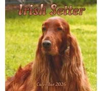 Irish Setter Calendar 2026: 12 month Organizer Jan 2026 to Dec 2026