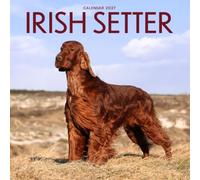 Irish Setter Calendar 2027: Dog Portraits and Breed Scenes
