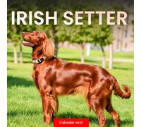 Irish Setter Calendar 2027: Setter Portraits and Outdoor Scenes