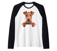Irish Terrier Divertente sbirciando Pocket Daredevil Dog Lover Maglia con Maniche Raglan