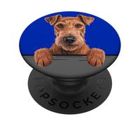 Irish Terrier divertente sbirciando Pocket Daredevil Dog Lover PopSockets PopGrip Adesivo