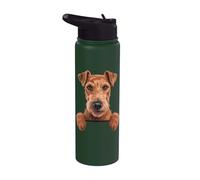 Irish Terrier divertente sbirciando Pocket Daredevil Dog Lover Stainless Steel Insulated Water Bottle
