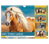 Irish Tinker Liebe. Der robuste Charme der Gypsy Cobs (Wandkalender 2027 DIN A4