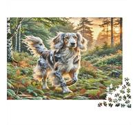 Irish Wolfhound 1000 Pezzi per Donne e Uomini, Cane sul Sentiero nel Bosco Gioco Divertente e Sfidante per Famiglie Idea Regalo 38x26cm 1000 Pezzi