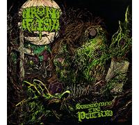 Iron Flesh - Summoning The Putrid