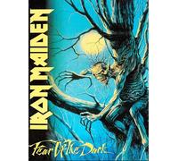 Iron Maiden Fear of The Dark - poster cm. 30 x 40