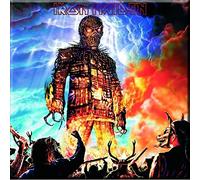 Iron Maiden - Magnete Iron Maiden Wicker