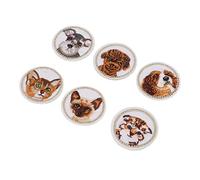 Iron on Animal Patches Design cartone animato Design per abbigliamento fai -da -te Set 6pcs