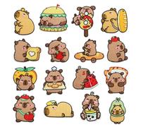 Iron-On Embroidery Patch 16 pezzi Capybara Badge Set, Aesthetic Animal Patch Stickers for Jacket Hat Backpack Clothing Repair Crafts Handmade Supplies Men Women Kids Teens