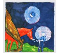 Iron & Wine & Calexico - In The Reins
