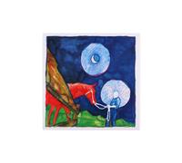 Iron & Wine/Calexico - In The Reins