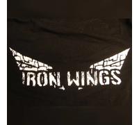 Iron Wings (PC) Steam Key - GLOBAL