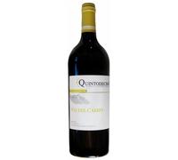 Irpinia Falanghina DOC "Via Del Campo" 2024 - Quintodecimo