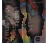 Irreversible Entanglements - Future Present Past