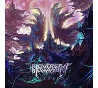 Irreversible Mechani - Immersion