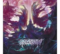 Irreversible Mechani - Immersion