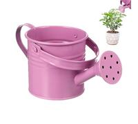 Irrigazione esterna - Barattolo innaffiato internazionale e all'aperto per piante con manico ergonomico | Vaso decorativo per giardino, terrazza, giardiniere, famiglia e amici