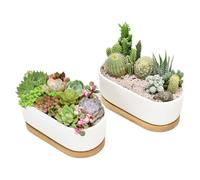 Irunfast 2 vasi per piante grasse in ceramica bianca, vasi per cactus con vassoio in bambù, vasi per cactus per interni ed esterni, piccoli vasi ovali per ufficio, hotel, decorazione della casa