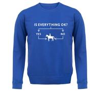 Is Everything Ok? Si O No Equitazione - Adulti Felpa/Maglione - Cavalli Ride