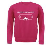 Is Everything Ok? Si O No Equitazione - Bambini Felpa/Maglione - Cavalli Ride