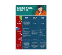 Is It RSV A Cold Or The Flu Symptom Comparison Chart Educational Health Poster for Living Room Clinic Office Decor(Unframed,12X18inch(30X45cm))