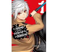 Fujino Omori Brandon Bovia Dale D Is It Wrong to Try to Pick Up Girl (Tascabile)