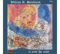...Is Only The Name by William R. Strickland (2009-04-28)
