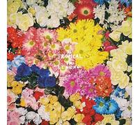 Is Tropical - Im Leaving