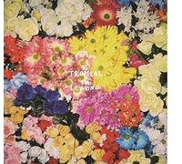 Is Tropical - Is Tropical - I'm Leaving