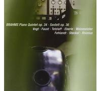 Isabelle Faust Chamber Music (Vogt, Tetzlaff, Faust) (CD) Album