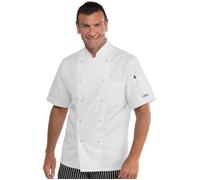 ISACCO Giacca Cuoco Unisex Mezza Manica Bottoni Antipanico in 100% Cotone Bianco