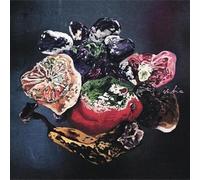 Ischia - Leave Me to the Future