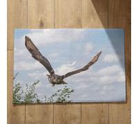 Isdreem Zerbino Antiscivolo Tappeto da Bagno Assorbente Aquila Zerbino Interno Sottile Zerbini Originali Tappetini Decorativi In Cotone Felpato Leggero Antiscivolo, 50x80cm