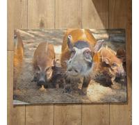 Isdreem Zerbino Asciugapassi da Esterno Tappeto Per Box Doccia Bagno Antiscivolo Rettangolare Cinghiale Zerbino Interno Sottile Zerbini Simpatici Pulenti, 40x60cm