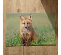 Isdreem Zerbino Ingresso Esterno Simpatici Tappeto Per Doccia Angolare Antiscivolo Volpe Zerbino Queen Tappeto Per Doccia Angolare Antiscivolo, 45x75cm