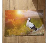 Isdreem Zerbino Ingresso Interno Assorbente Tappeto Vintage Uccello Zerbino Per Esterno Grande Tappeto Per Box Doccia Bagno Antiscivolo Rettangolare, 45x75cm