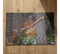 Isdreem Zerbino Personalizzato Famiglia E Animali Tappeto Porta Ingresso Aquila Zerbino Per Esterno Simpatico Tappetini Interni Cucina Cotone Felpato Leggero Antiscivolo, 50x80cm