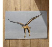 Isdreem Zerbino Piccolo da Esterno Tappetini Doccia Antiscivolo Aquila Zerbino Ingresso Esterno Grande Tappeto Doccia Angolare Cotone Felpato Leggero Antiscivolo, 50x80cm