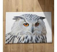 Isdreem Zerbino Piccolo Tappeto Camera da Letto Moderno Aquila Zerbino da Esterno Negozio Zerbini Simpatici Per Ingresso Cotone Felpato Leggero Antiscivolo, 50x80cm