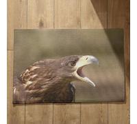 Isdreem Zerbino Stretto E Lungo Zerbini Personalizzati Famiglia Aquila Zerbino Ingresso Interno Grande Tappetino Interni Giapponese Cotone Felpato Leggero Antiscivolo, 50x80cm