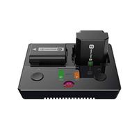 ISDT NP2 - Caricabatteria per fotocamera NP-FZ100 NP-FW50 NP-BX1 Smart a due vie per batterie Sony Cyber-Shot DSC-RX100, DSC-RX100 II, DSC-RX100 III, DSC-RX100 V, DSC-RX100 IV, HDR-CX405