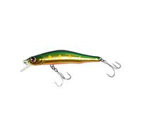 ishing Sospensione Minnow Jerkbait Sistema Magnetico Lungo Cast Bass Pike Trota Lure 80SP (07)